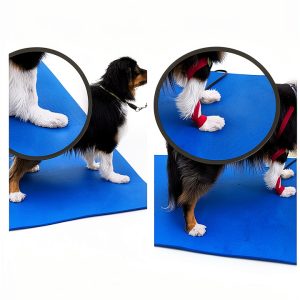 Kindle eBook Small Animal Veterinary Medicine English-0